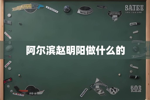 阿尔滨赵明阳做什么的