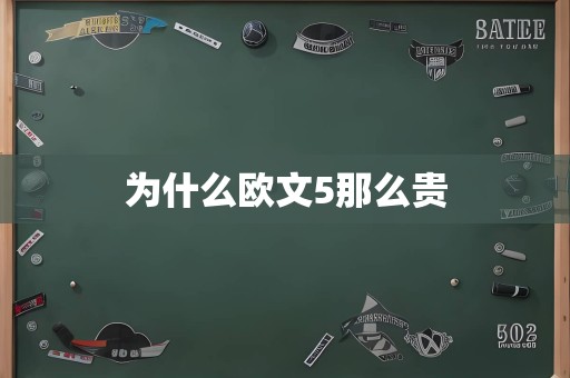 为什么欧文5那么贵