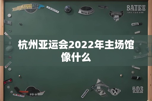 杭州亚运会2022年主场馆像什么