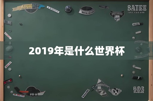 2019年是什么世界杯