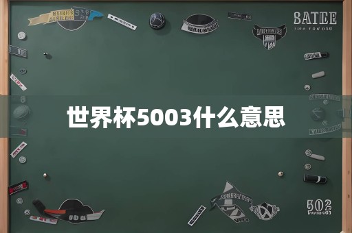 世界杯5003什么意思