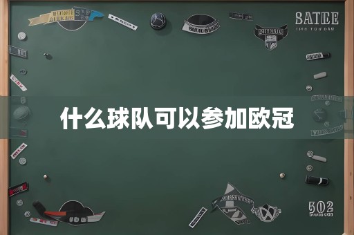 什么球队可以参加欧冠