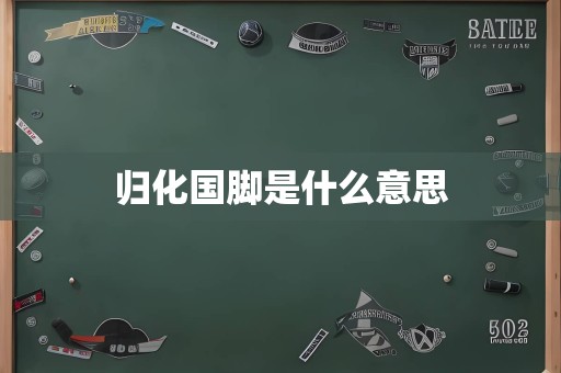 归化国脚是什么意思