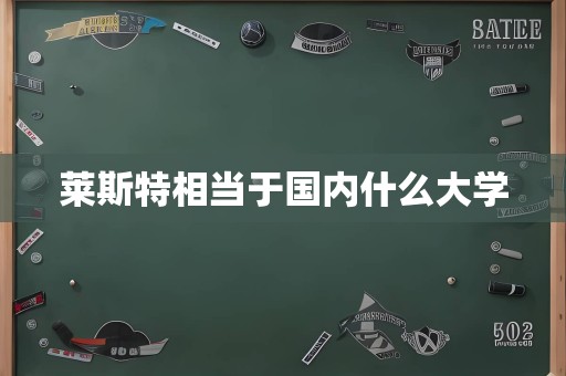 莱斯特相当于国内什么大学