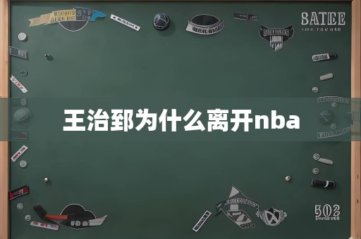 王治郅为什么离开nba