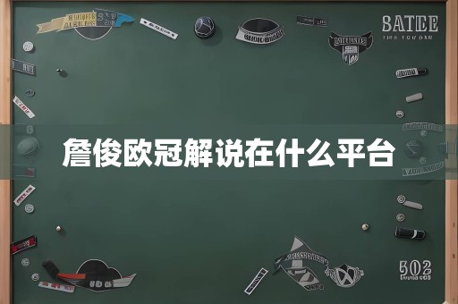 詹俊欧冠解说在什么平台