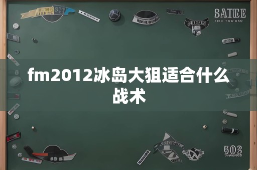 fm2012冰岛大狙适合什么战术