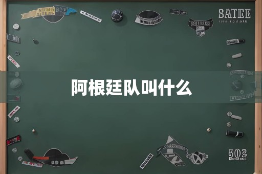 阿根廷队叫什么