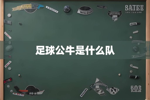 足球公牛是什么队