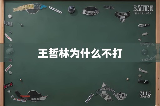 王哲林为什么不打