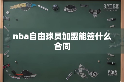 nba自由球员加盟能签什么合同