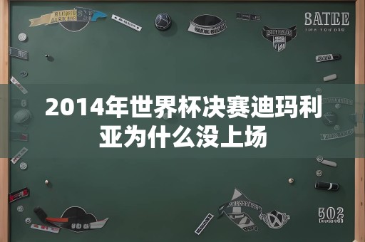 2014年世界杯决赛迪玛利亚为什么没上场