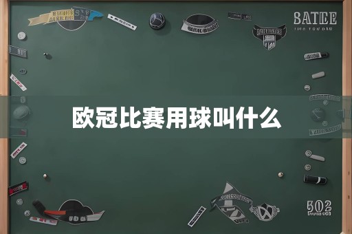 欧冠比赛用球叫什么