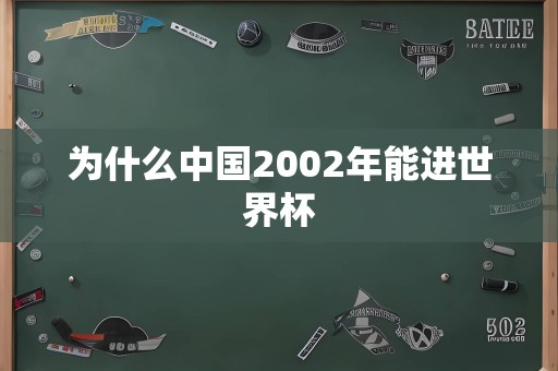 为什么中国2002年能进世界杯