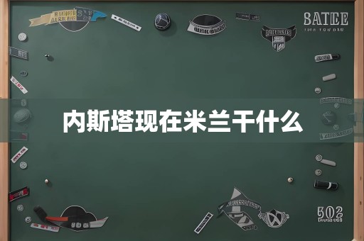 内斯塔现在米兰干什么