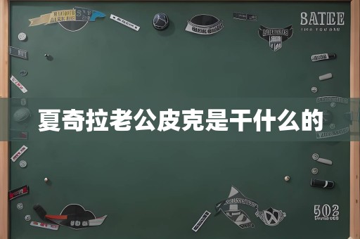 夏奇拉老公皮克是干什么的