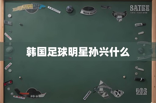 韩国足球明星孙兴什么