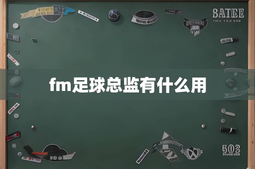 fm足球总监有什么用