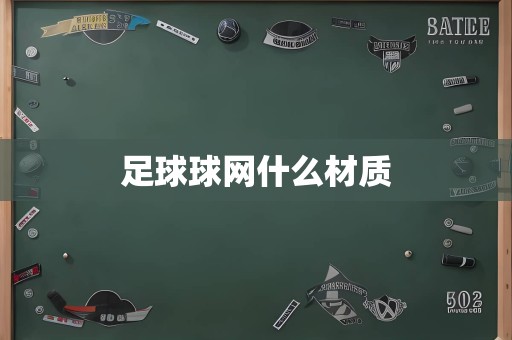 足球球网什么材质