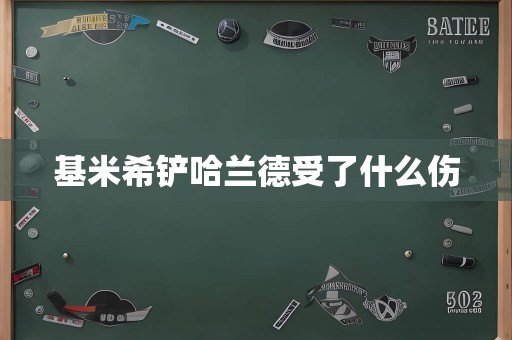 基米希铲哈兰德受了什么伤