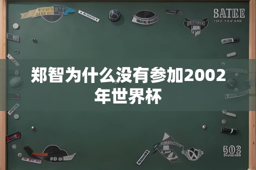 郑智为什么没有参加2002年世界杯