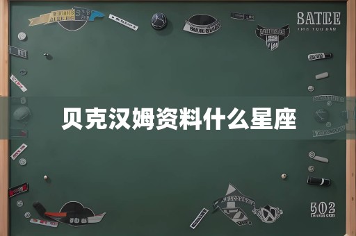 贝克汉姆资料什么星座