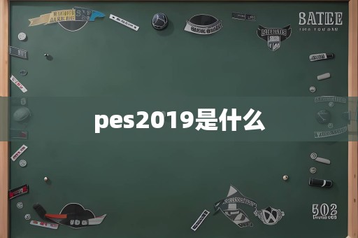 pes2019是什么