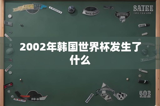 2002年韩国世界杯发生了什么