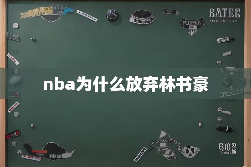 nba为什么放弃林书豪