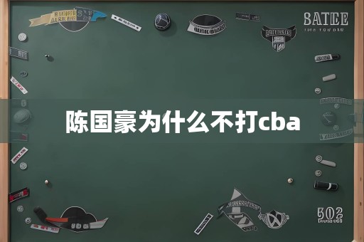 陈国豪为什么不打cba