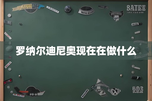 罗纳尔迪尼奥现在在做什么