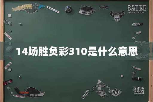 14场胜负彩310是什么意思