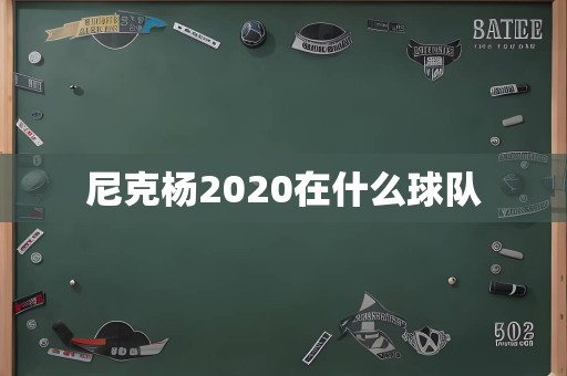 尼克杨2020在什么球队