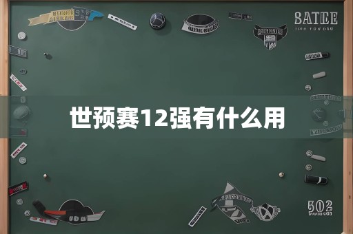 世预赛12强有什么用