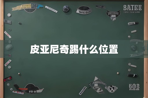 皮亚尼奇踢什么位置