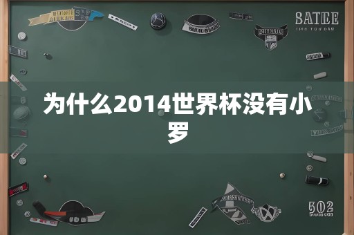 为什么2014世界杯没有小罗