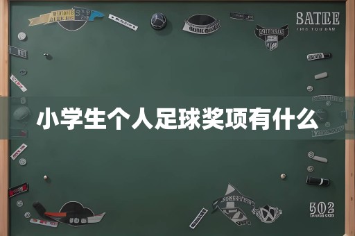 小学生个人足球奖项有什么