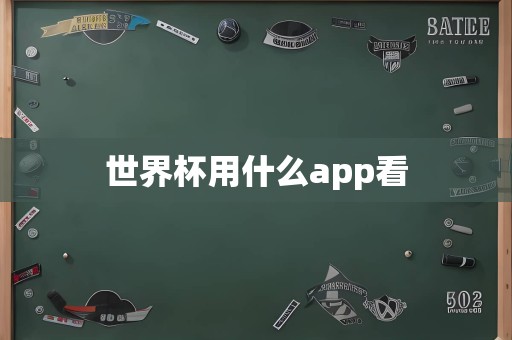 世界杯用什么app看