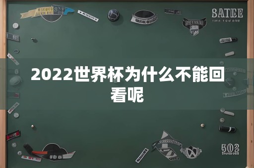 2022世界杯为什么不能回看呢