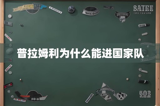 普拉姆利为什么能进国家队