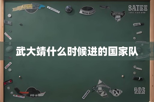 武大靖什么时候进的国家队