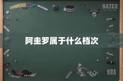 阿圭罗属于什么档次