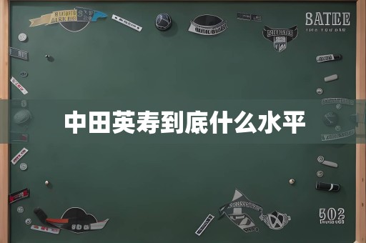 中田英寿到底什么水平