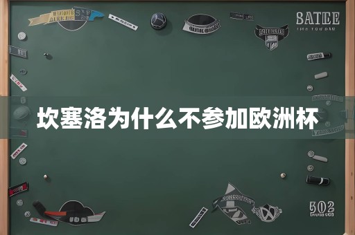 坎塞洛为什么不参加欧洲杯