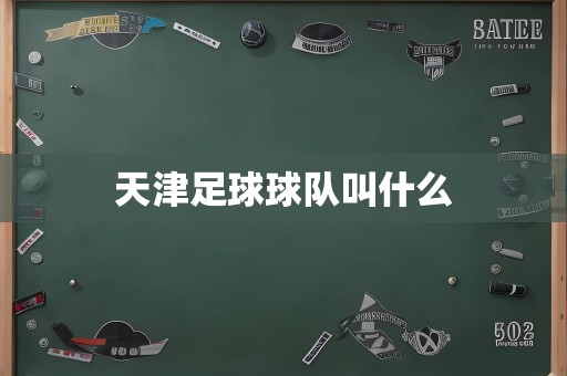 天津足球球队叫什么