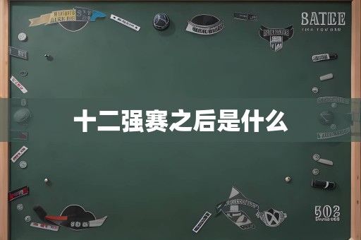 十二强赛之后是什么