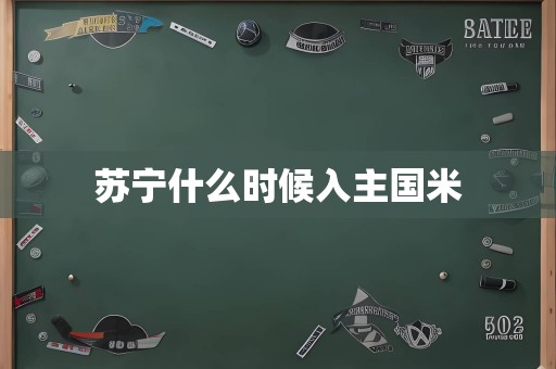 苏宁什么时候入主国米