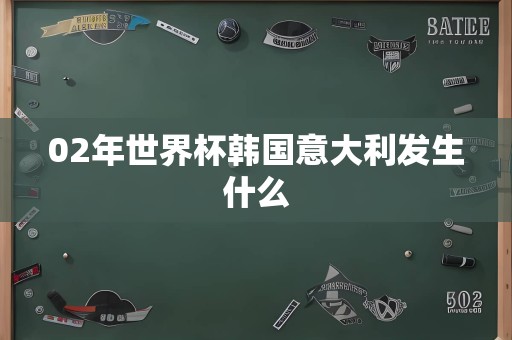 02年世界杯韩国意大利发生什么