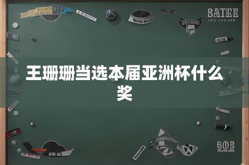 王珊珊当选本届亚洲杯什么奖