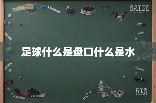 足球什么是盘口什么是水